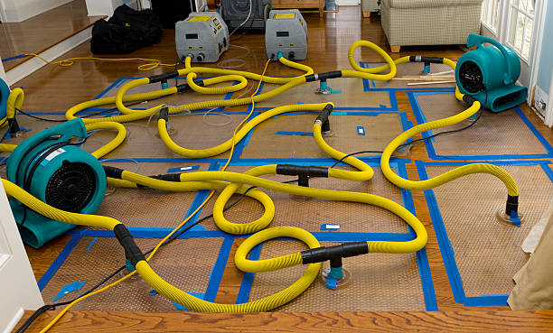 Professional Crawl Space Water Removal technician working in Murphy, ID